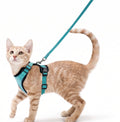 Arnés Chaleco Antiescape Transpirable + Correa para Gatos