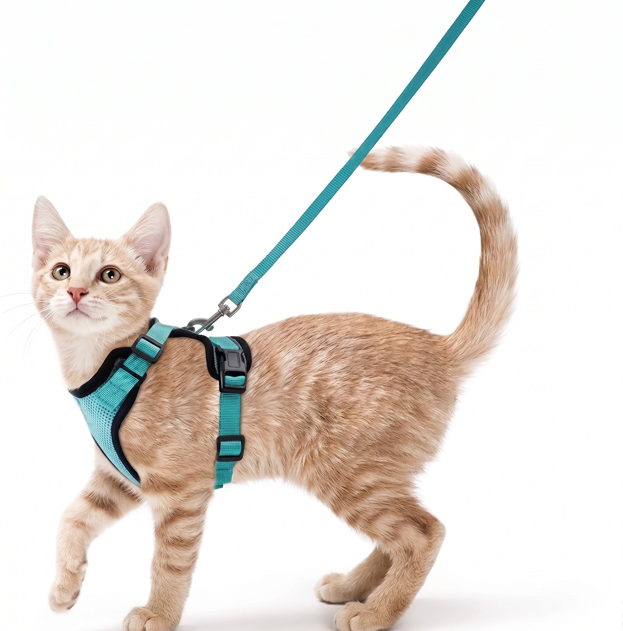 Arnés Chaleco Antiescape Transpirable + Correa para Gatos